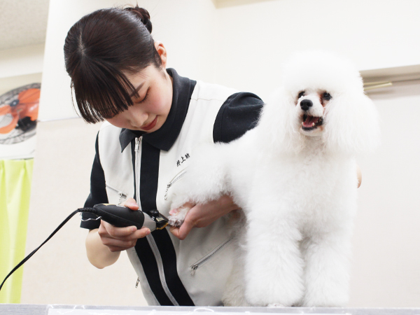 ☆生徒競技会☆午後の部～ＰＡＲＴ①～